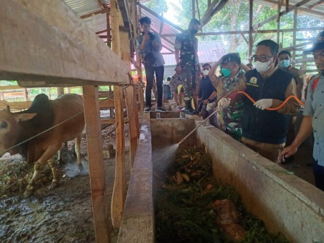 
 Kadis Peternakan Aceh Zalsufran saat melakukan Biosecuriti dan penyemprotan disinfektan di salah satu peternakan di Aceh besar. Kamis (06/10/2022). Foto: Im Dalisah/gumpalannews.com